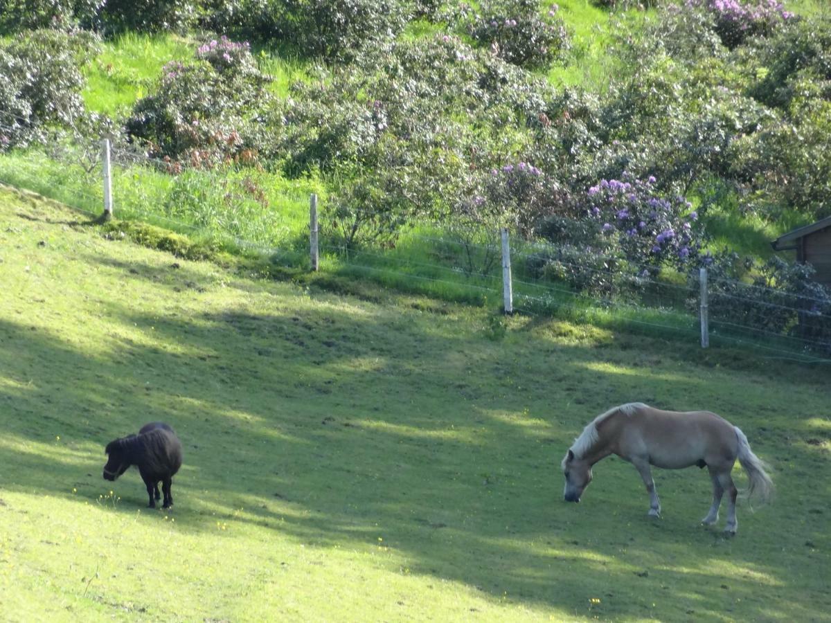 La Fermette Blanche Bed & Breakfast Nadrin Luaran gambar