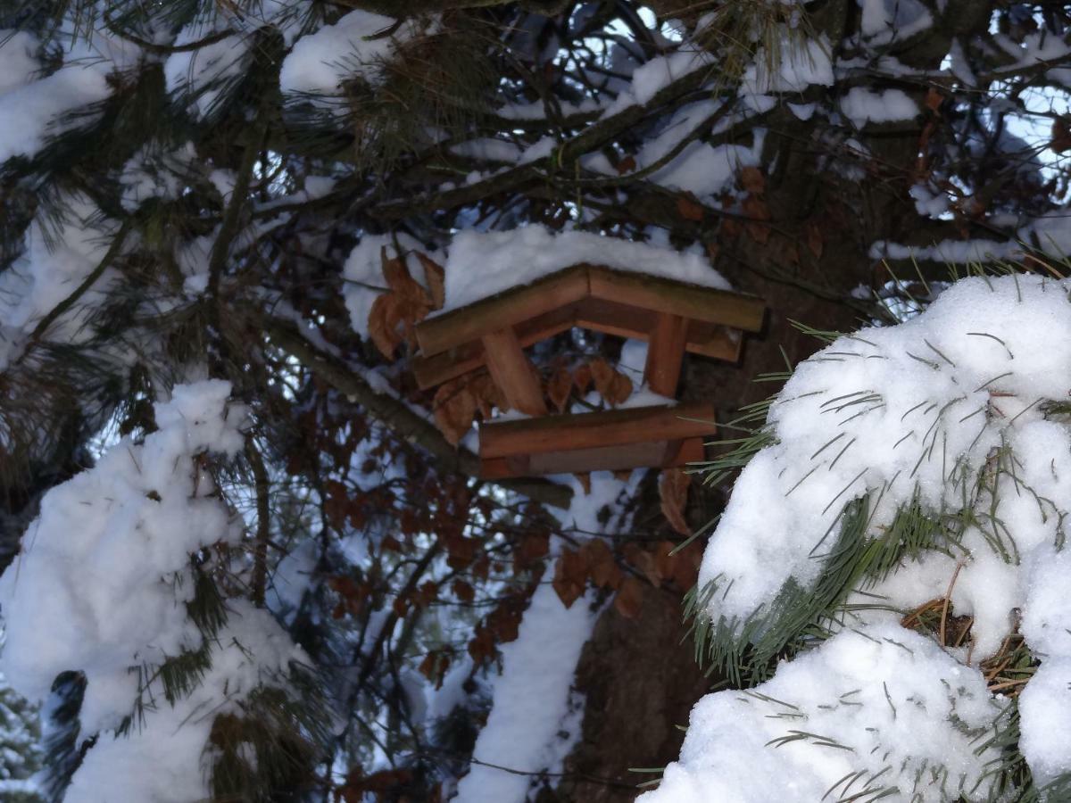 La Fermette Blanche Bed & Breakfast Nadrin Luaran gambar